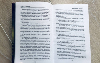 Рейчел Кейн: Мрачный залив