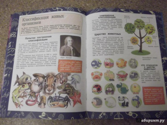 Любовь Вайткене: Большая иллюстрированная энциклопедия школьника