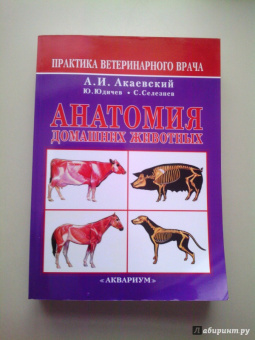 Акаевский, Юдичев, Селезнев: Анатомия домашних животных