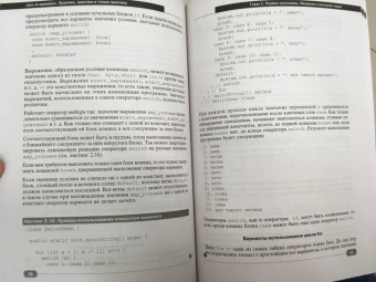 Сеттер, Яшин: Java на примерах. Практика, практика и только практика