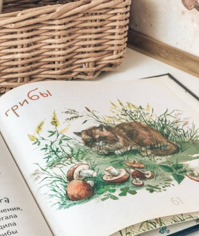 Елена Хаецкая: К - значит Друг