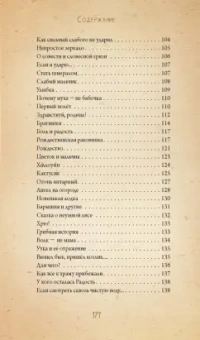 Станислав Брейэр: Невидимая планета. Сказки-притчи