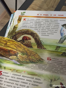 Владимир Бабенко: Животные