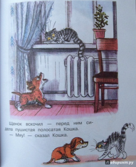 Владимир Сутеев: Загадочные истории