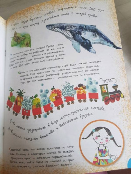 Вера Иванова: Как устроен человек?