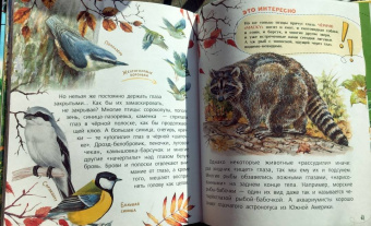 Танасийчук, Волцит, Альтшулер: Почемучкины сказки о животных