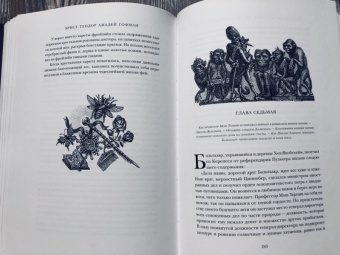 Гофман Эрнст Теодор Амадей: Повелитель блох