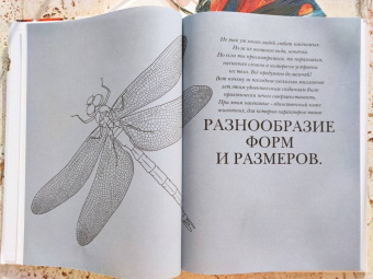 Барт Россел: Поразительные насекомые. Книга про подземных математиков, мастеров блефа, дружных кочевников, зомби