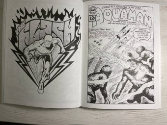 Супергерои DC COMICS. Более 100 сцен для раскрашивания