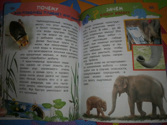 Малов, Альтшулер: 100 тысяч почему