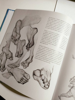 Лоис Барле: Loish. Рисуем шаг за шагом