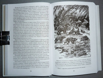 Джеймс Кервуд: Бродяги Севера