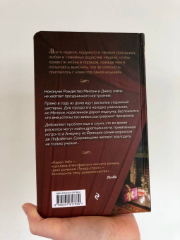 Карен Уайт: Духи Рождества на Трэдд-стрит