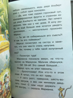 Арне Фуглесанг: Космическое путешествие