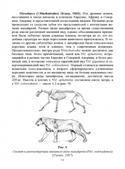 Веселова, Блохина: Биология, систематика и разведение кошачьих. Учебное пособие для вузов