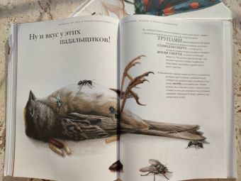 Барт Россел: Поразительные насекомые. Книга про подземных математиков, мастеров блефа, дружных кочевников, зомби