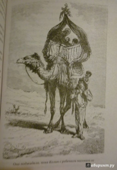 Рид Майн: Пиратский остров. Молодые невольники