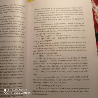 Ю Несбё: Полиция