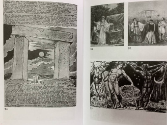 Стюарт Пиготт: Друиды. Поэты, ученые, прорицатели