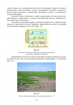 Гуреев, Башкатов: Свекловодство. Учебное пособие для СПО