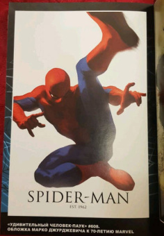 Ван, Келли, Гуггенхайм: Человек-Паук. Новые способы жить