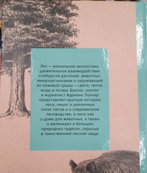 Адриане Лохнер: Лес. Как устроена лесная экосистема