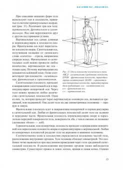Ачкасов, Касаткин: Основы спортивного тейпирования. Учебное пособие