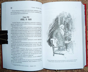 Рид Майн: Желтый вождь