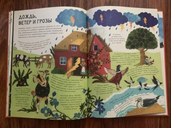 Клэр Кок-Старки: Волшебный мир природы. Сказки, мифы и легенды