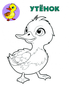 Посмотри и раскрась. Жирафик