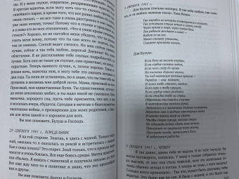 Рения Шпигель: В тени Холокоста. Дневник Рении