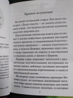 Н. Скоробогатько: "Душу спасти - не лапоть сплести". Опыт современного отечника для мирян