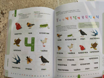 Ирина Мальцева: Буквы. Учимся уверенно узнавать буквы и слова. 5-6 лет