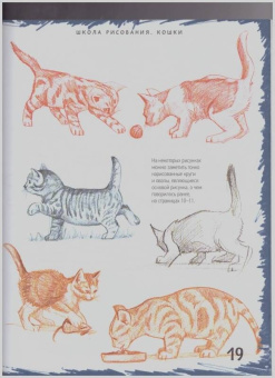 Марк Берджин: Школа рисования. Кошки