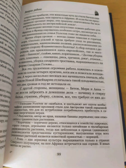 Жюль Верн: Вторая родина