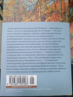 Александр Пушкин: "Звезда пленительного счастья..."