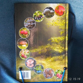 Петр Волцит: Ягоды и грибы