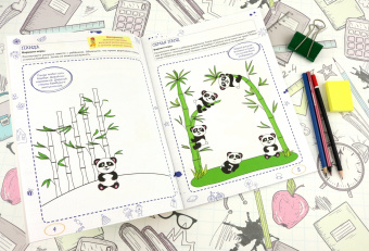 Вера Шаева: Ментальные прописи. 4-5 лет