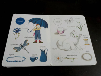 Елена Ивановская: Моя первая книжка о цвете