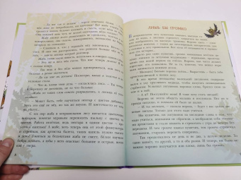 Николай Щекотилов: В неправильном лесу. Ненасытные козявки