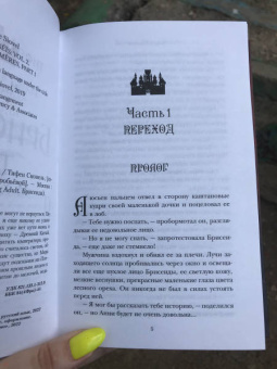 Тифен Сиовель: Брисеида. Тени и химеры