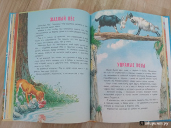 Сказки о животных со всего света