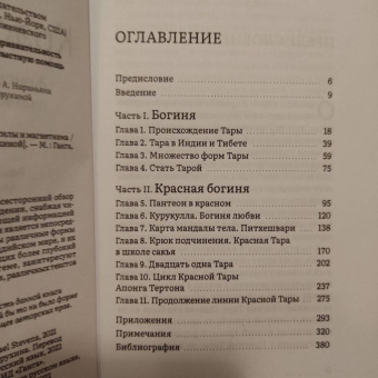 Рейчел Стивенс: Красная Тара. Женская форма будды силы и магнетизм