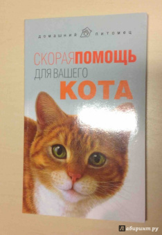 Л. Моисеенко: Скорая помощь для вашего кота