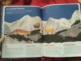 Сангма Фрэнсис: Эверест