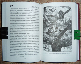 Рид Майн: Письмо и пуля