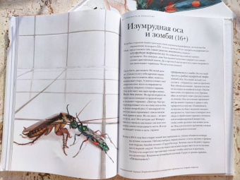 Барт Россел: Поразительные насекомые. Книга про подземных математиков, мастеров блефа, дружных кочевников, зомби