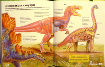 Франциско Арредондо: Динозавры. Большая детская энциклопедия