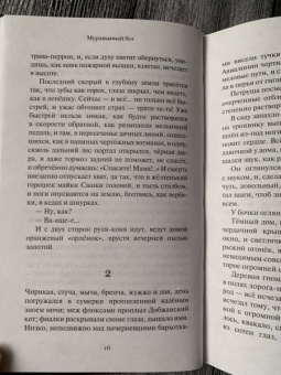 Александра Николаенко: Муравьиный бог. Реквием