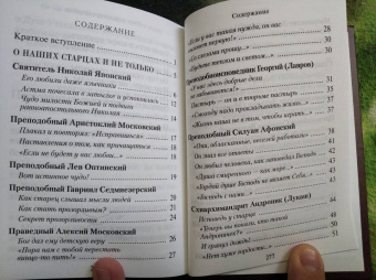 Н. Скоробогатько: "Душу спасти - не лапоть сплести". Опыт современного отечника для мирян